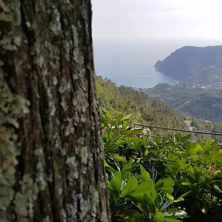 Santuario Ns Soviore Cinque Terre-2
